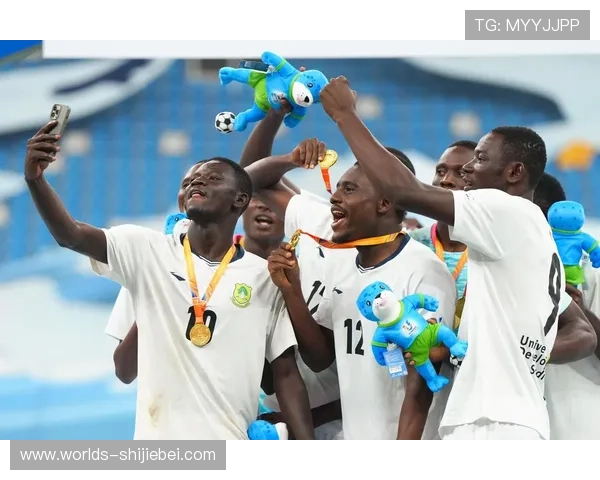 历届世界杯参赛国家一览表，回顾各国参赛历史与足球发展轨迹