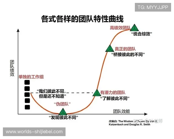 申办世界杯的团队组建与管理经验分享打造高效申办团队的实用技巧